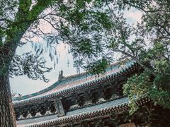 -晋祠公园