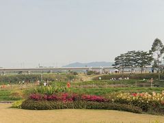 -光明小镇欢乐田园