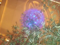大堂顶灯-武汉江城明珠豪生大酒店