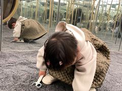 -Hi City·城市之巅