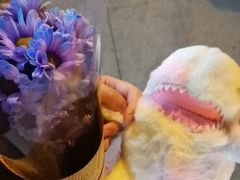 -+WAWA夹娃娃专门店·抓娃娃