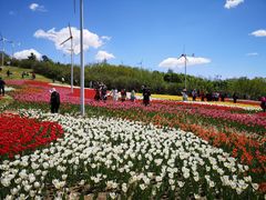 -沈阳植物园