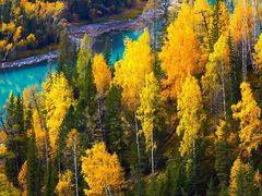 -同庆堂(解放北路店)