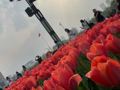 -泉城广场