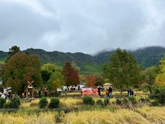 -塔川景区