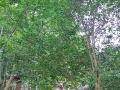 -天台山赤城山景区