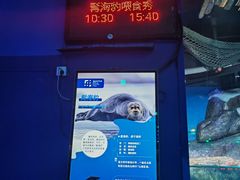 -海合安青岛极地海洋公园