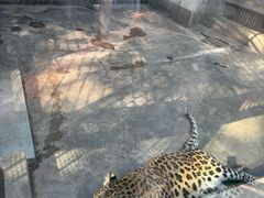 -攀枝花公园