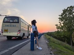 -合肥滨湖国家森林公园