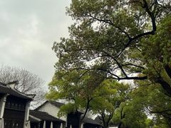 -惠山古镇·寄畅园