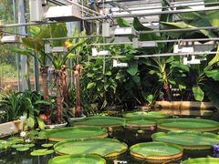 -国家植物园南园