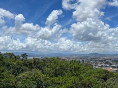 -仙岳公园