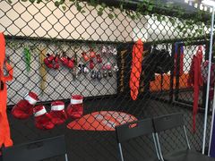 场馆-体育科代表搏击散打体能训练馆(陶然亭店)