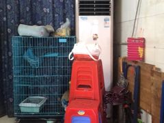 -胡椒猪肚汤(康王店)