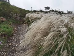 -密云玫瑰情园