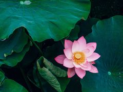 -白鹭湾湿地公园