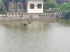 -江心屿景区