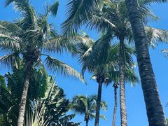 -三亚蜈支洲岛旅游区