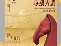 -中华艺术宫(上海美术馆)