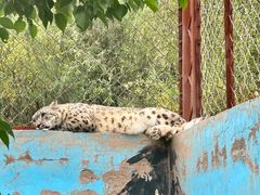 -青藏高原野生动物园