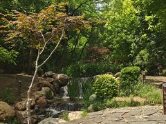 -大连植物园