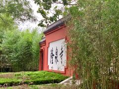 -百脉泉景区