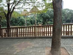 -深圳野生动物园