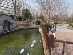 -南宫五洲植物乐园