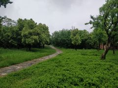 -盘龙城国家考古遗址公园