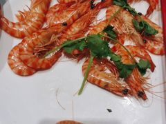 -沪碟·精菜坊(闵行店)