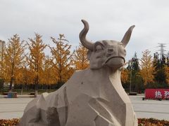 -永定河休闲森林公园