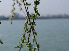-海宁鹃湖公园