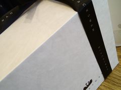 -BLACKSWAN黑天鹅(环球店)