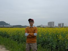 -光明小镇欢乐田园