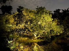 -柳莺湖上·湖景餐厅·江南菜(西湖店)