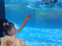 -海合安武汉极地海洋公园