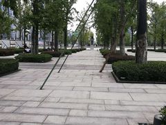 -百林公园-两江幸福广场