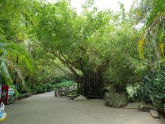 -呀诺达热带雨林