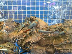 -星记小馆·小蓝龙·老南京砂锅菜(上海路店)