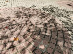 -徐家汇源景区-衡山公园