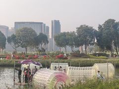 -光明小镇欢乐田园