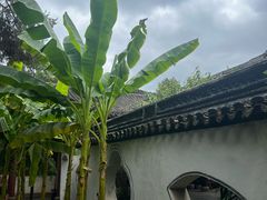 -太平天国侍王府