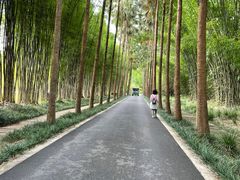 -中国科学院西双版纳热带植物园