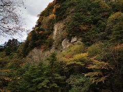 -青峰峡国家森林公园