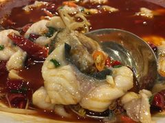 美极鲜食坊-美极鲜食坊(宝安南路店)