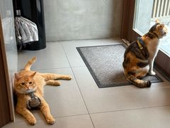 -Again Coffee Roaster(香蜜湖店)