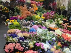 -双季花艺园艺市场(浦东店)