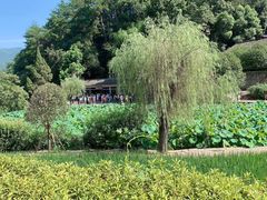 -韶山毛泽东同志故居