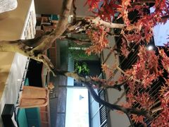 -滇色蒸汽石锅鱼(京华城店)