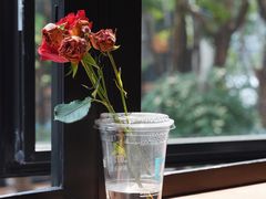 -LOTTA COFFEE(安居博文苑店)